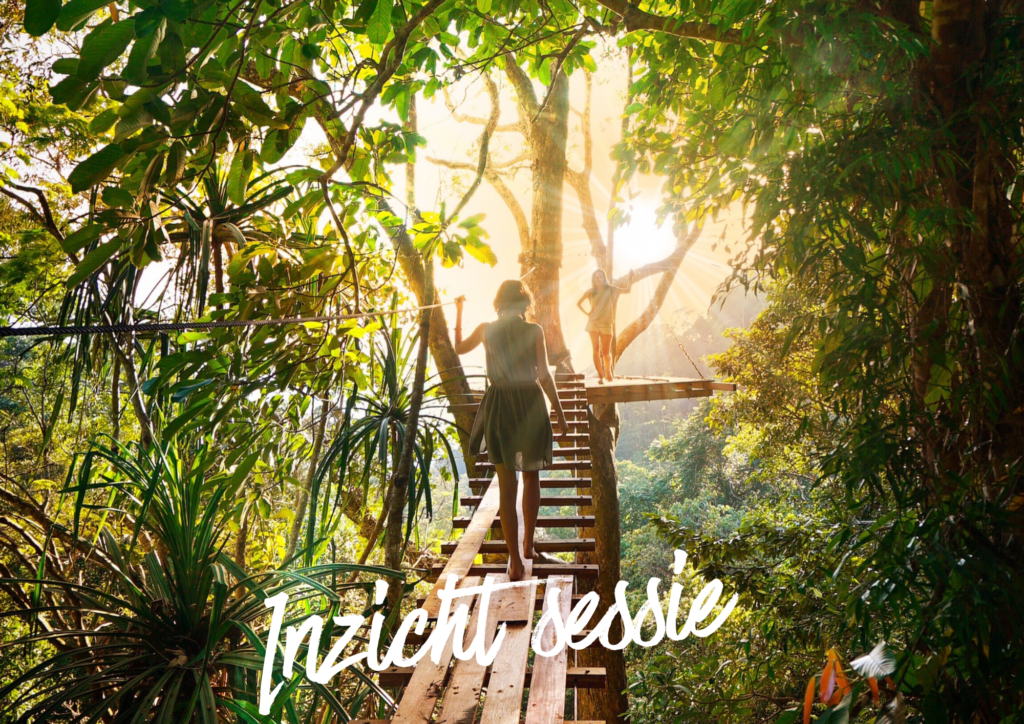 Deze afbeelding heeft een leeg alt-attribuut; de bestandsnaam is Inzicht-sessie-1024x724.png