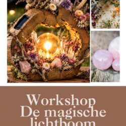 Workshop de magische lichtboom